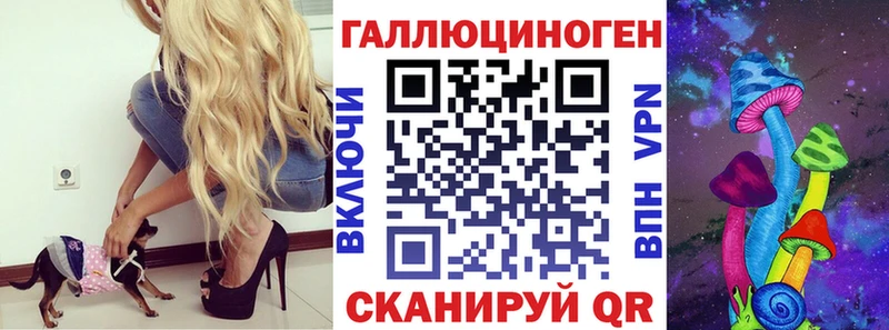 маркетплейс формула  МЕГА маркетплейс  Курильск  Галлюциногенные грибы Cubensis 
